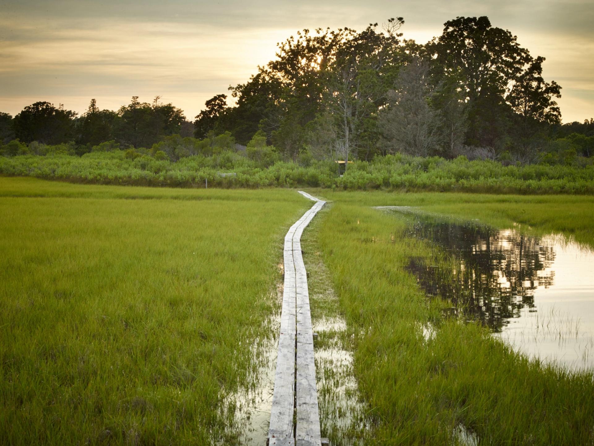 The grounds at Marshouse. (Photo: Allan Pollok-Morris. Courtesy Edwina von Gal)