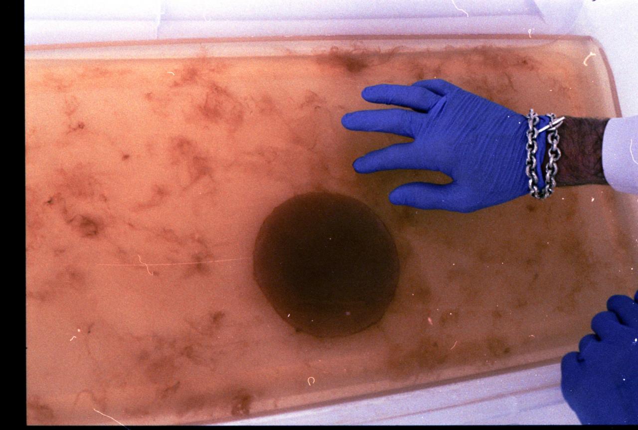 The Slowhide vegan leather being developed in the Slow Factory Labs. (Courtesy Slow Factory)