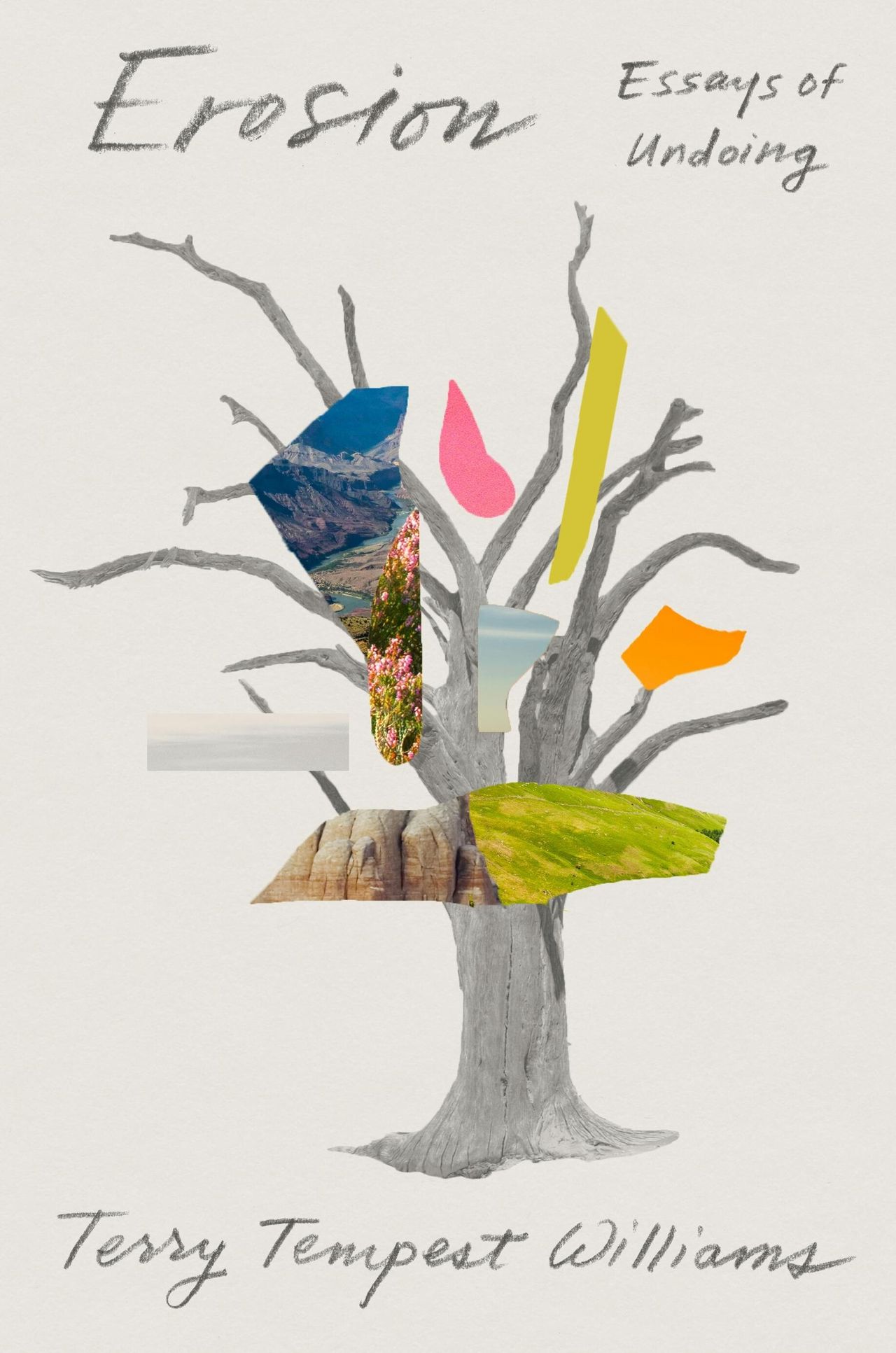Cover of Erosion (2019) by Terry Tempest Williams. (Courtesy Macmillan)
