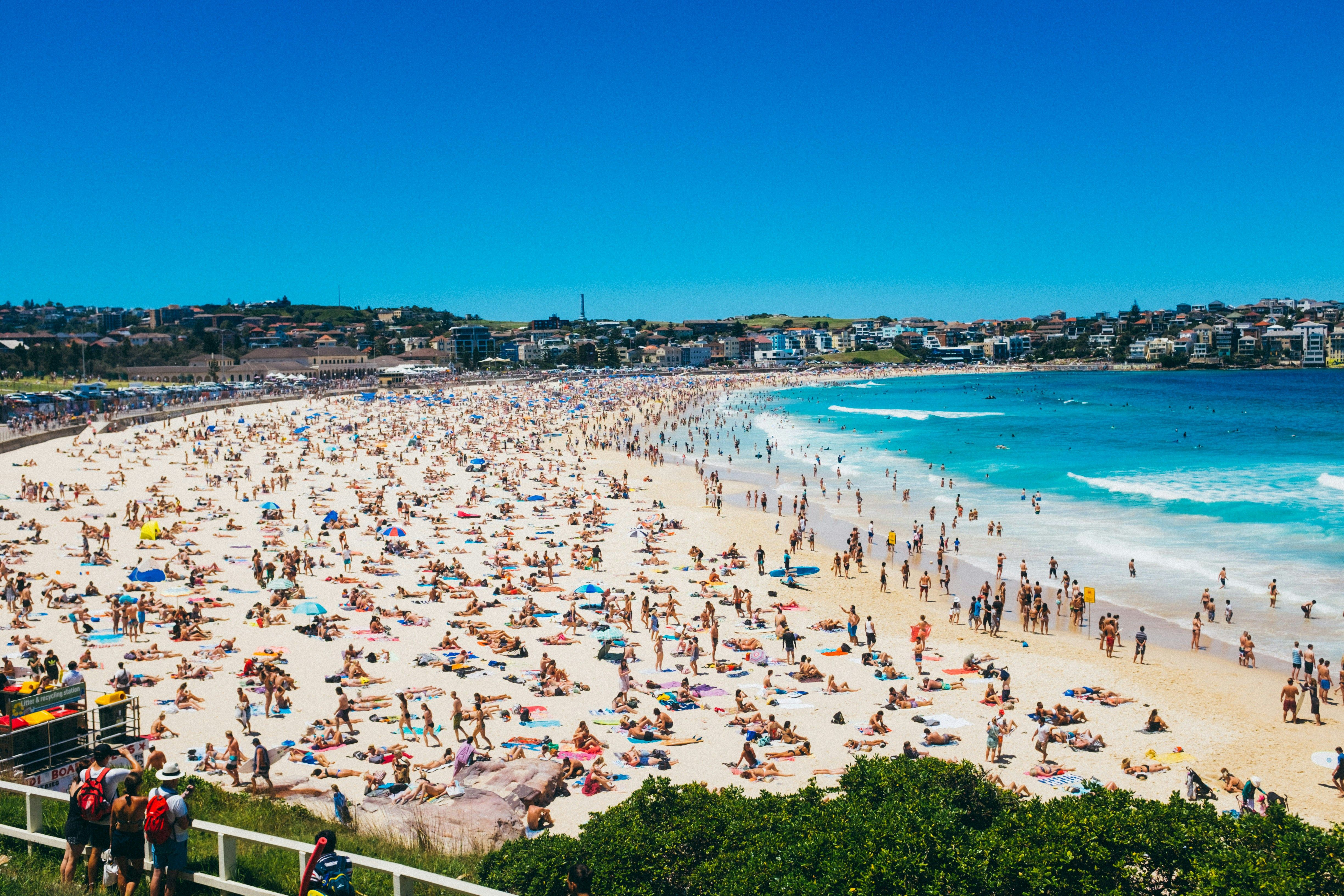 Mass Shooting at Bondi Beach Hanukkah Event Leaves 15 Dead in Apparent Terror Attack
