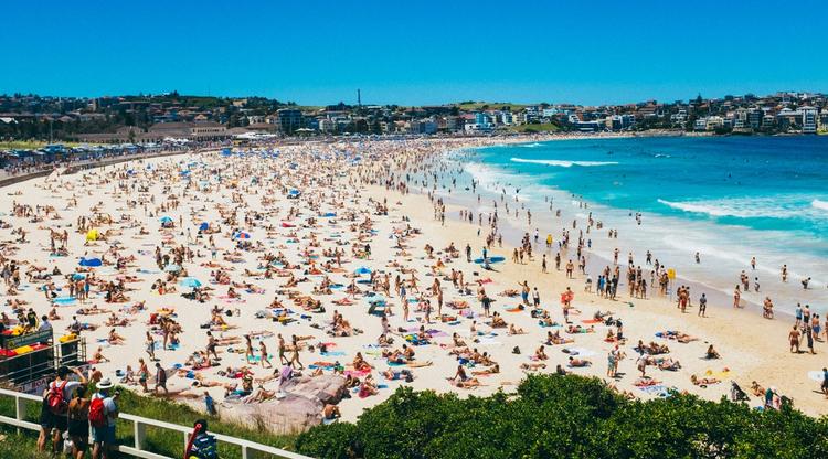 Mass Shooting at Bondi Beach Hanukkah Event Leaves 15 Dead in Apparent Terror Attack