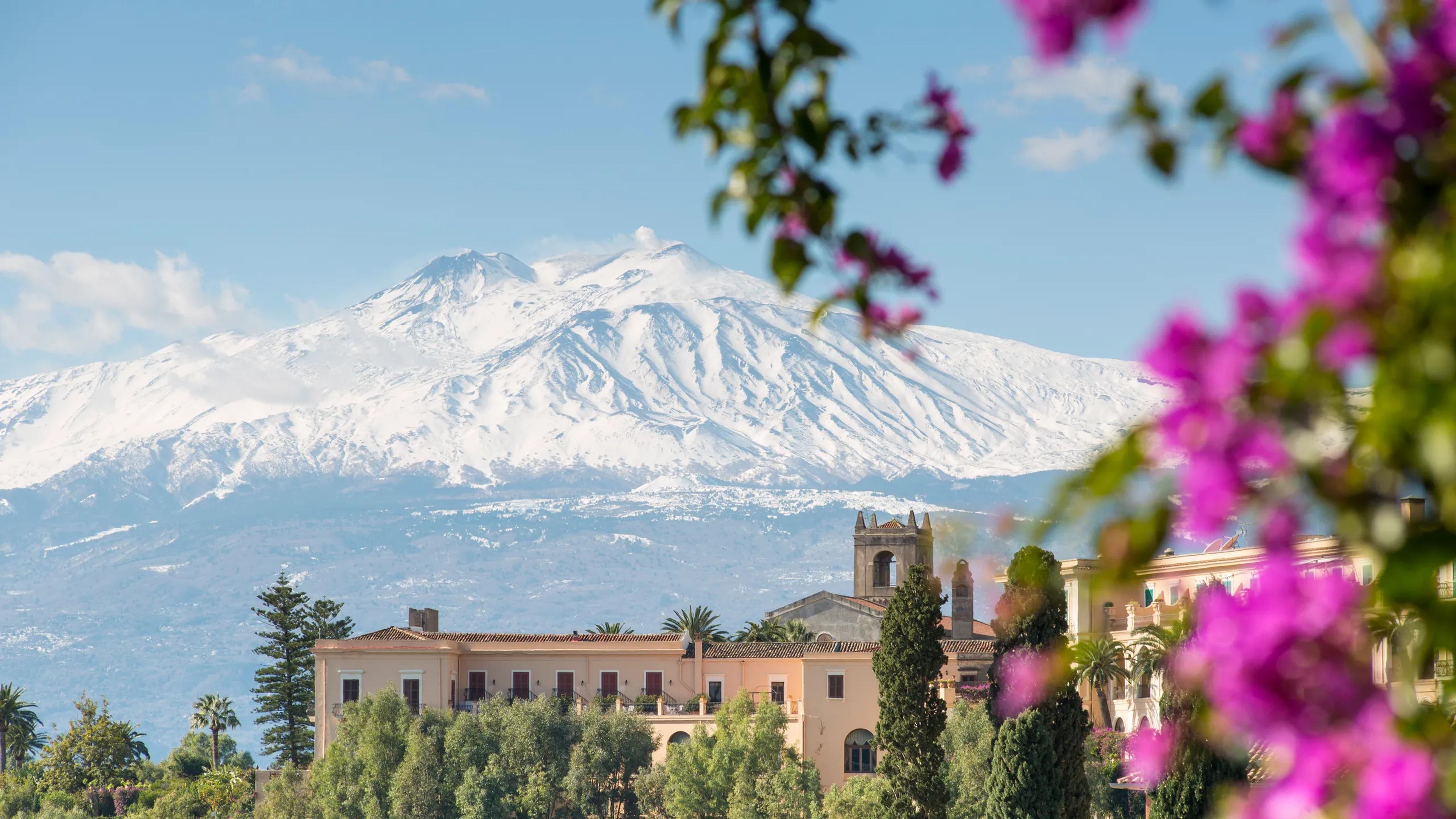 a snowy mountain is behind a building with purple flowers in the foreground .