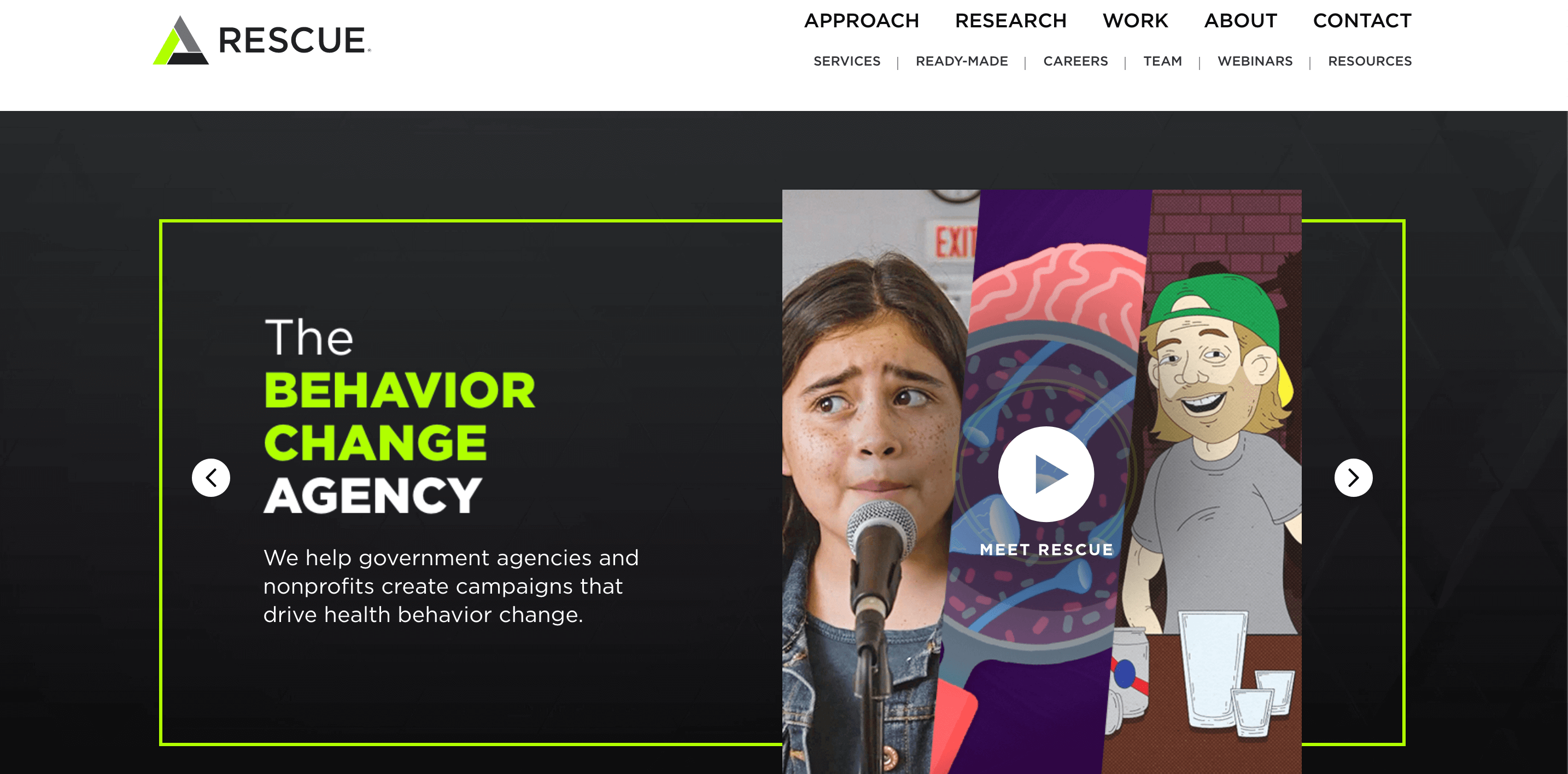 Rescue Agency Website