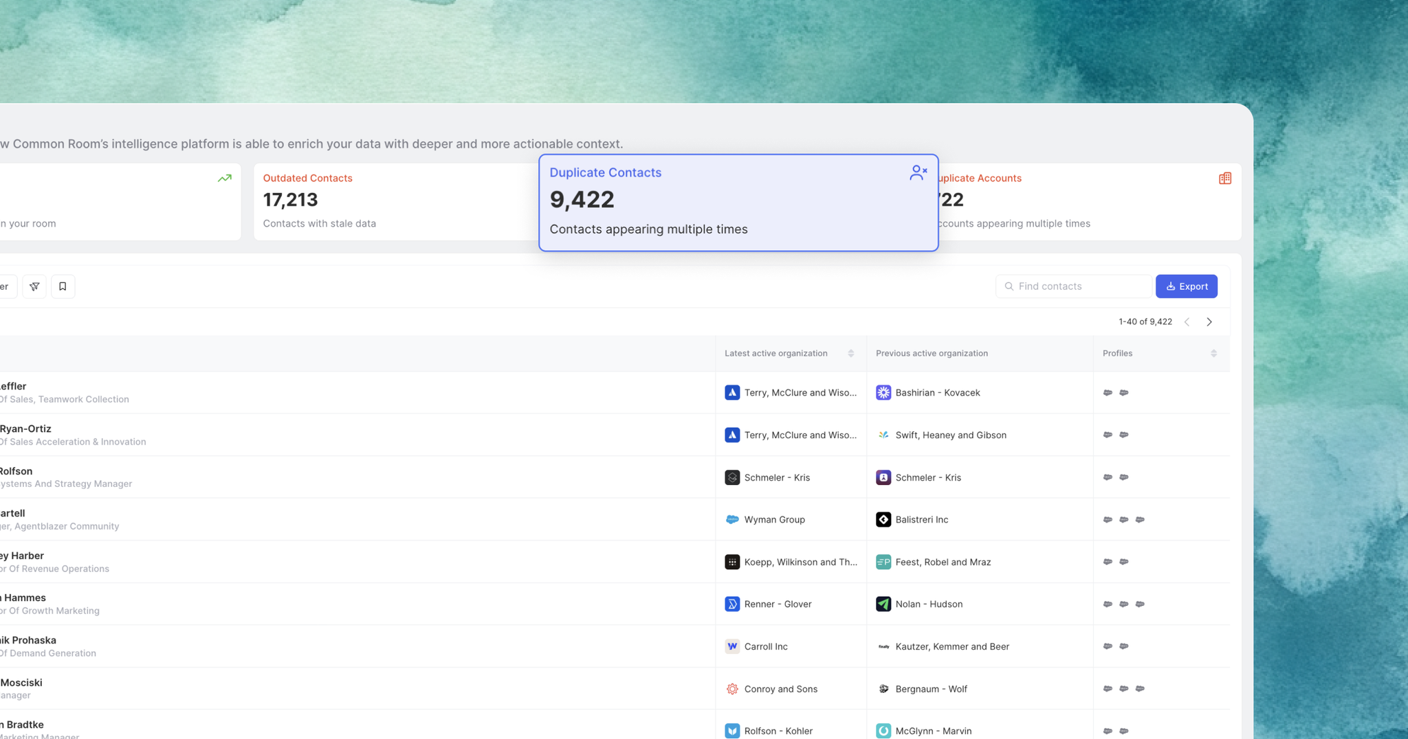 Image highlighting duplicate contact records