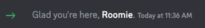 Roomie bot added successfully to Discord