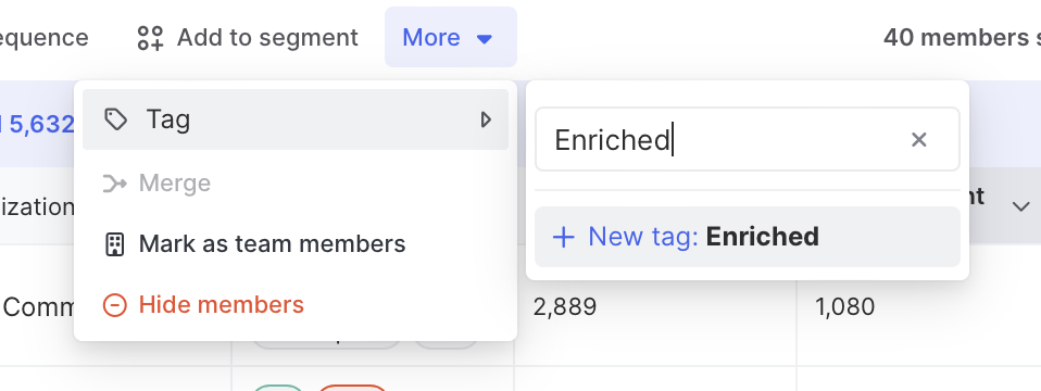 Apply a custom tag to enriched users