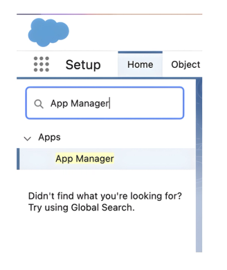 screenshot of app manager within salesforce
