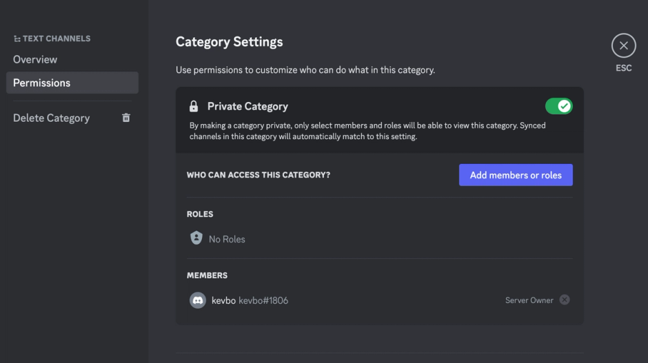 Set server category permissions