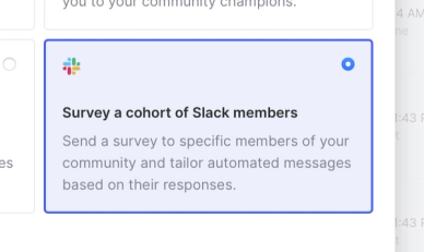 Option to survey a cohort of Slack members