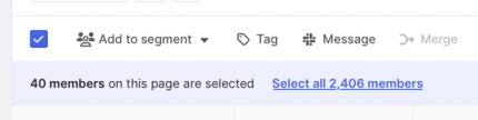 Add tags to members in bulk