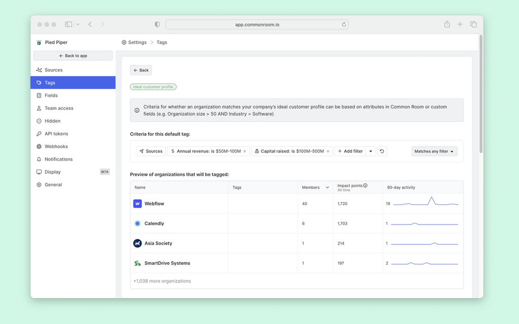 Preview of organizations tagged with ICP fit