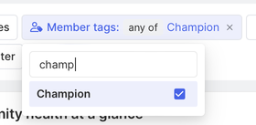 Add Member tags to reporting views