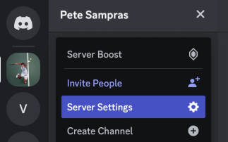 Select Discord Server Settings