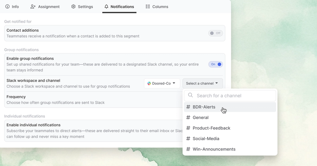Image of RoomieAI Spark setup