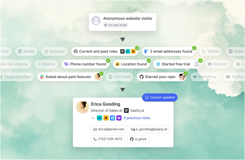 Image of web visit enrichment