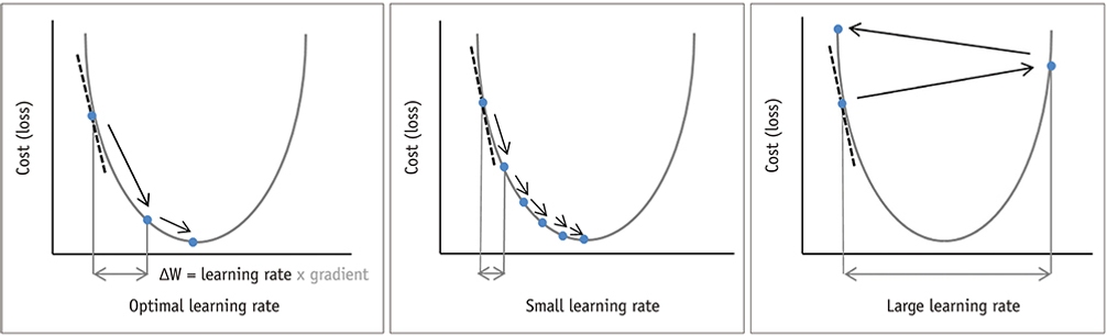 Effect of learning rate on model training