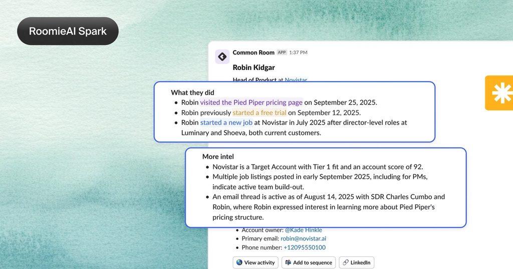 Image of RoomieAI Spark