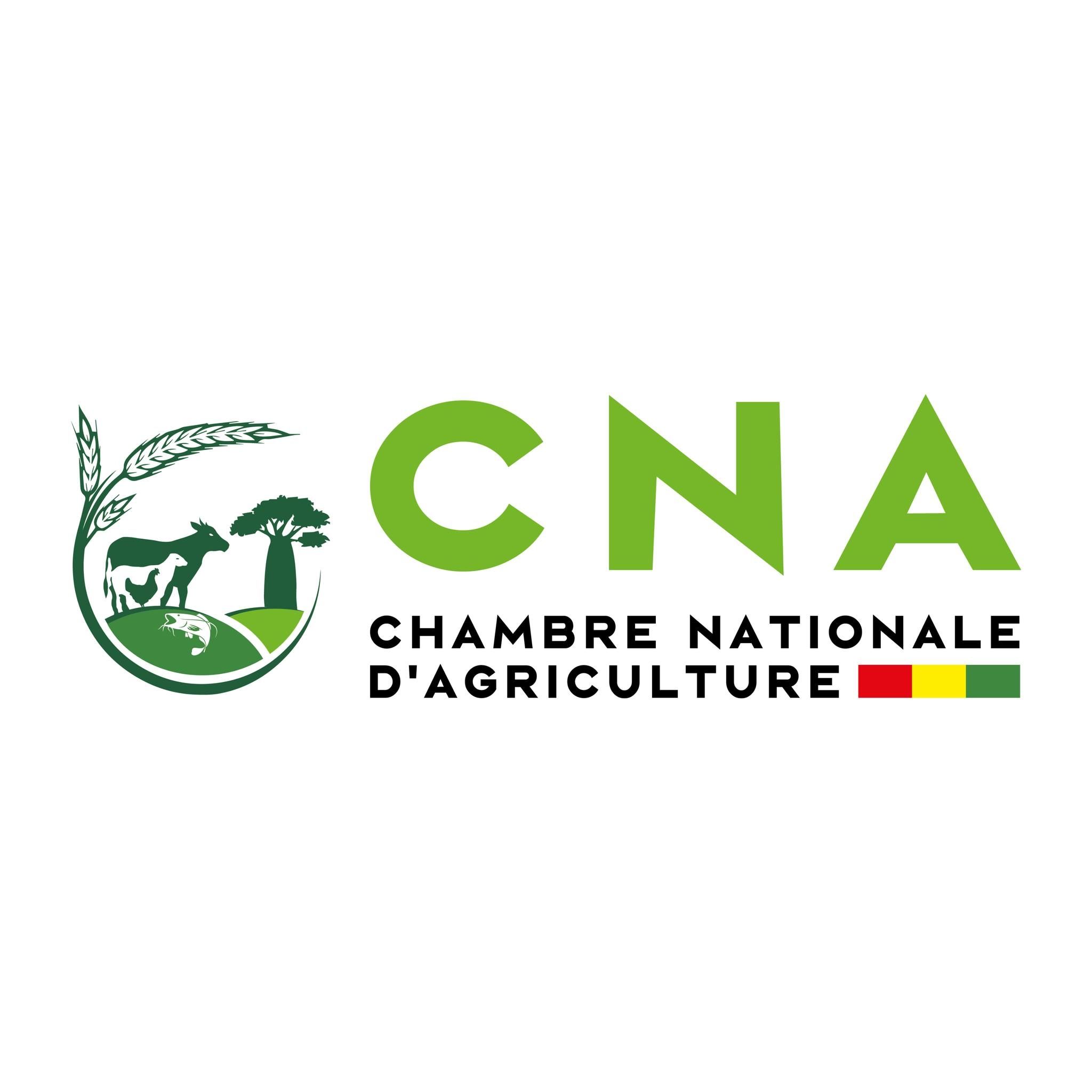 Agriculteurs guinéens travaillant dans un champ, symbolisant le développement agricole soutenu par la Chambre Nationale d'Agriculture de Guinée.