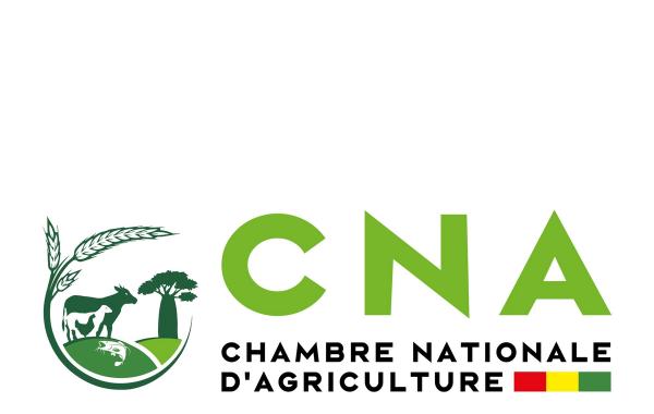 Agriculteurs guinéens travaillant dans un champ, symbolisant le développement agricole soutenu par la Chambre Nationale d'Agriculture de Guinée.