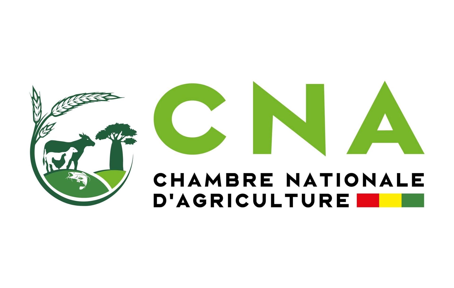 Guinean farmers working in a field, symbolizing agricultural development supported by the National Chamber of Agriculture of Guinea.