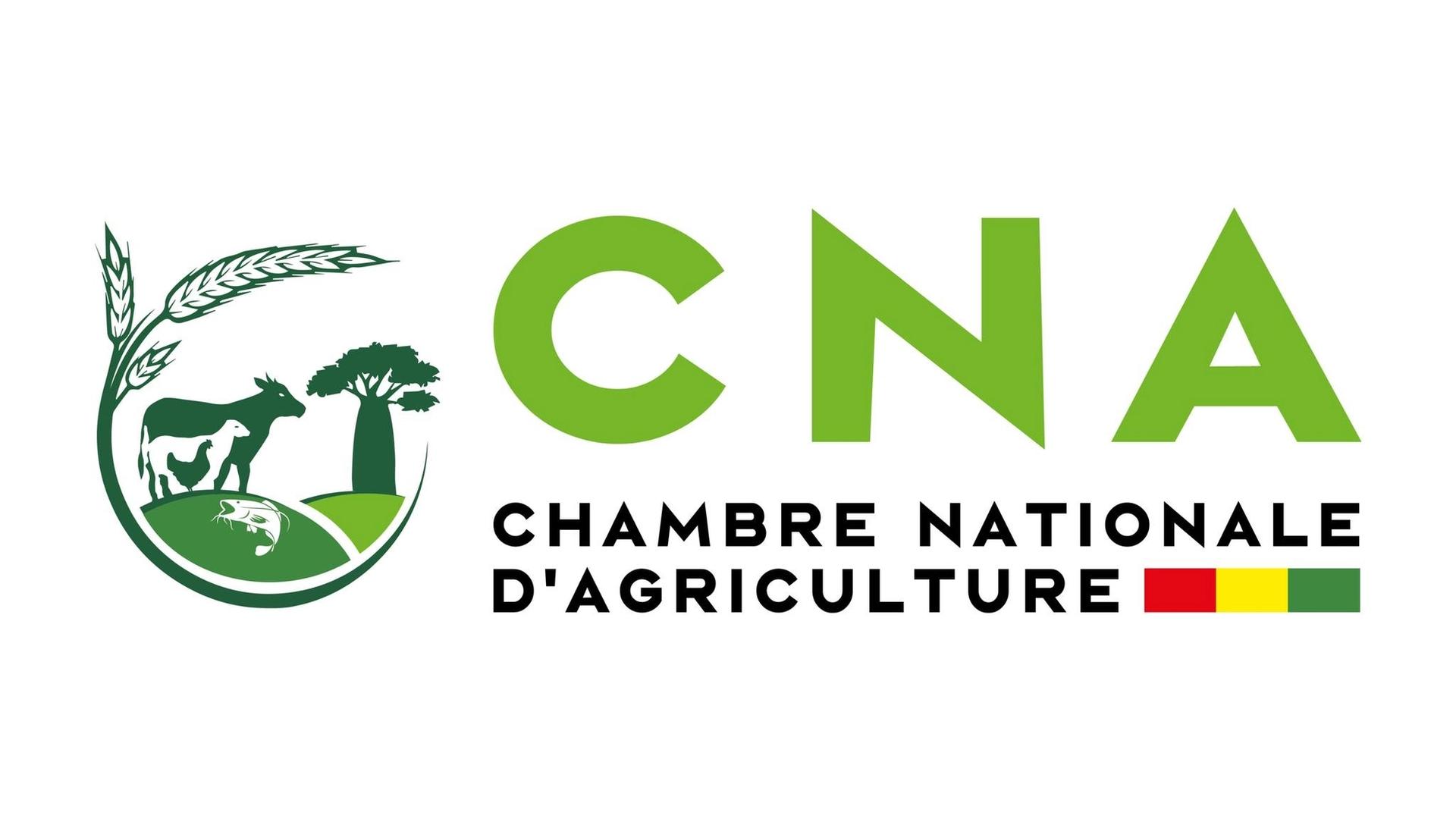 Guinean farmers working in a field, symbolizing agricultural development supported by the National Chamber of Agriculture of Guinea.