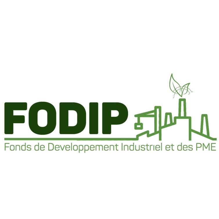 Le logo officiel de la Semaine du Financement des Entreprises Guinéennes (SFEG 2026) avec des entrepreneurs en pleine discussion avec des banquiers dans un "Village du Financement".