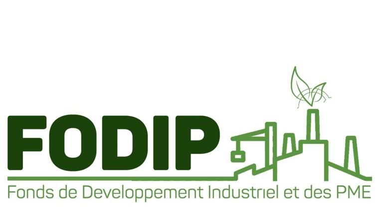 Le logo officiel de la Semaine du Financement des Entreprises Guinéennes (SFEG 2026) avec des entrepreneurs en pleine discussion avec des banquiers dans un "Village du Financement".