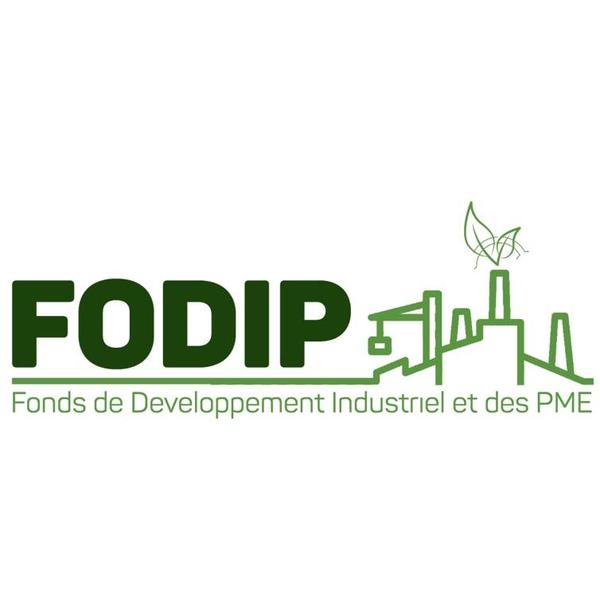 Le logo officiel de la Semaine du Financement des Entreprises Guinéennes (SFEG 2026) avec des entrepreneurs en pleine discussion avec des banquiers dans un "Village du Financement".
