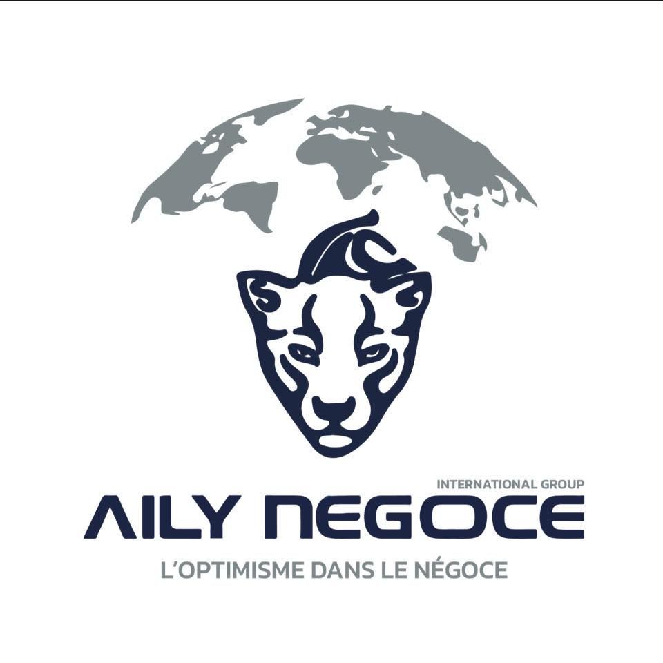 logo de Aily Negoce International Group