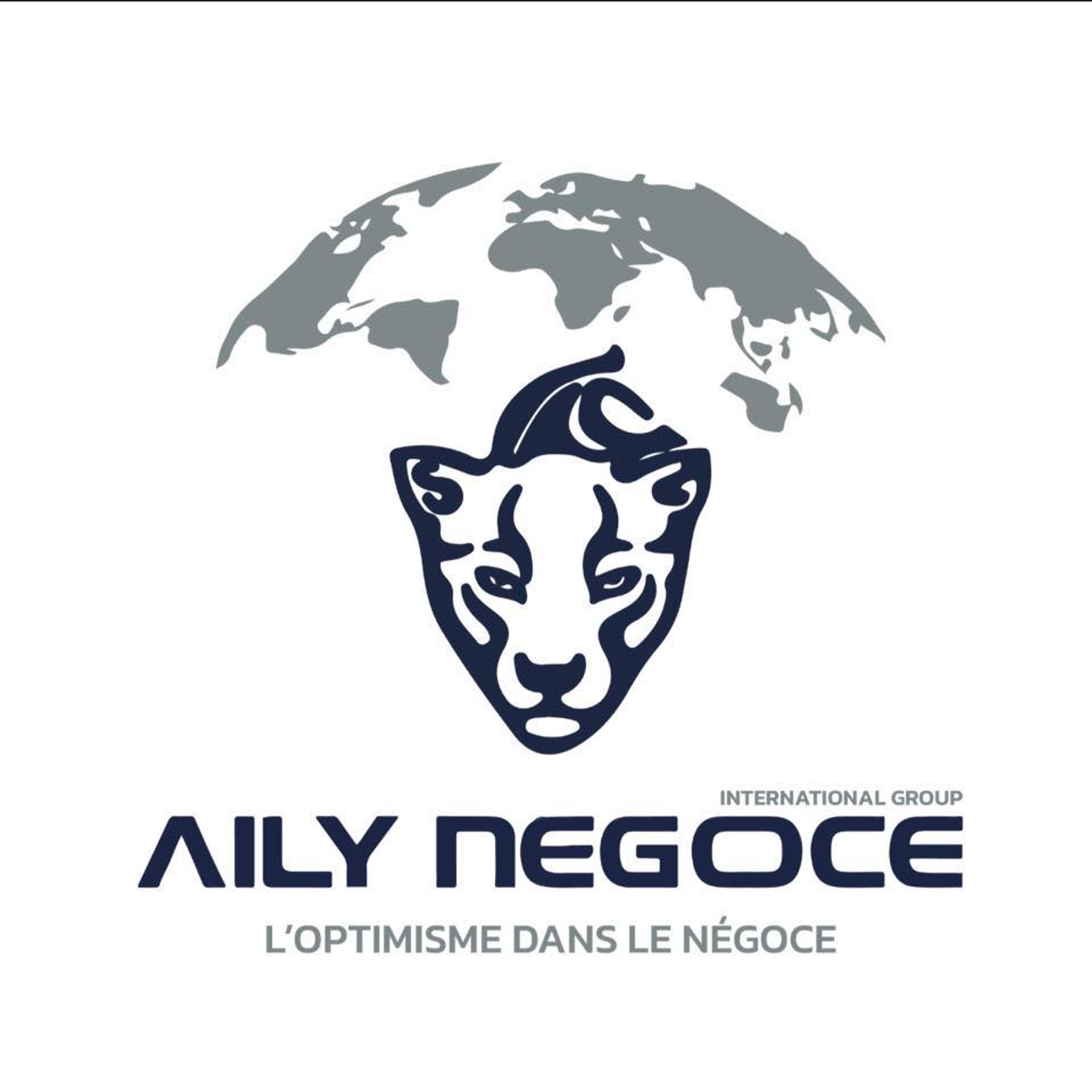Aily Négoce International Group (ANIG)
