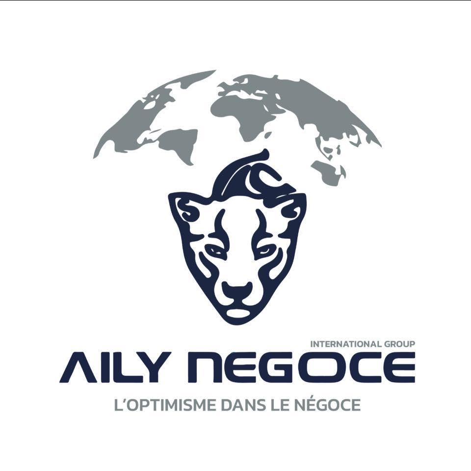 logo de Aily Negoce International Group