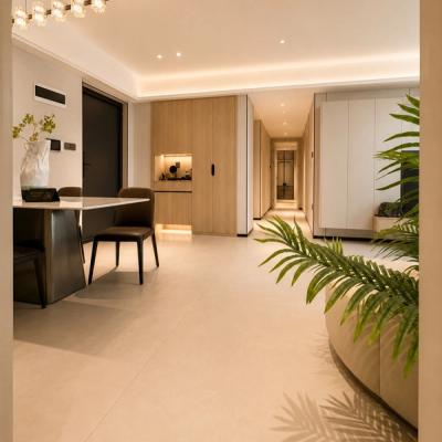Jing Chang SARL project