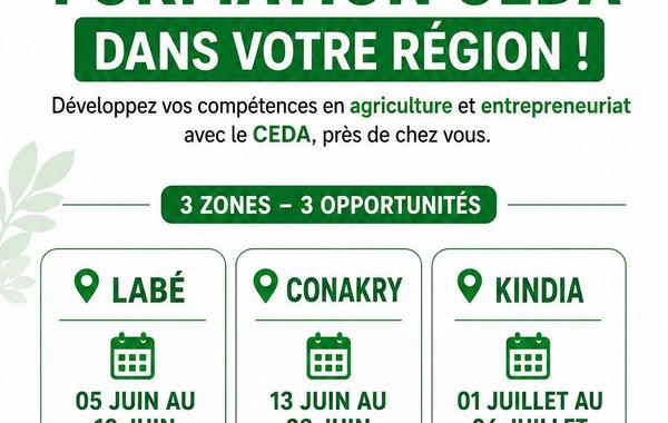 Jeune entrepreneur agricole guinéen travaillant dans une serre moderne, accompagné par les experts du CEDA Guinée.