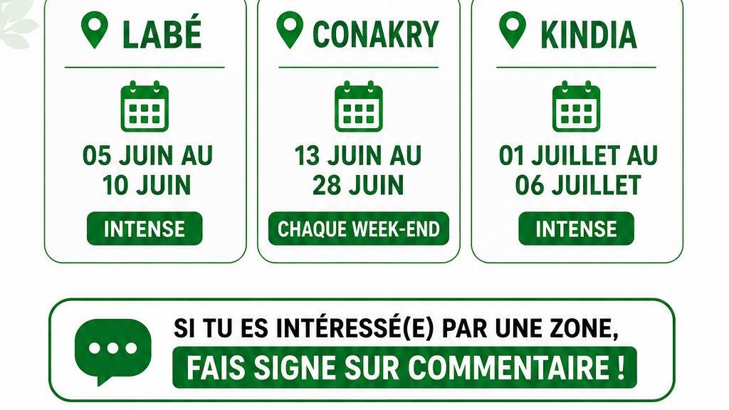 Jeune entrepreneur agricole guinéen travaillant dans une serre moderne, accompagné par les experts du CEDA Guinée.