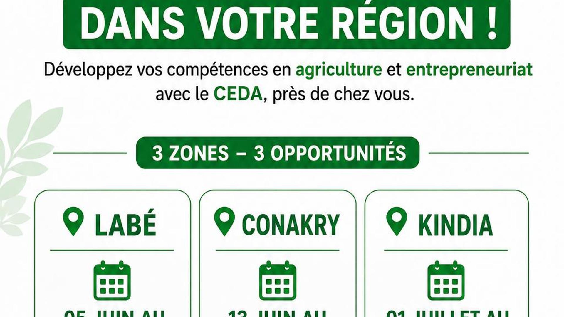 Jeune entrepreneur agricole guinéen travaillant dans une serre moderne, accompagné par les experts du CEDA Guinée.
