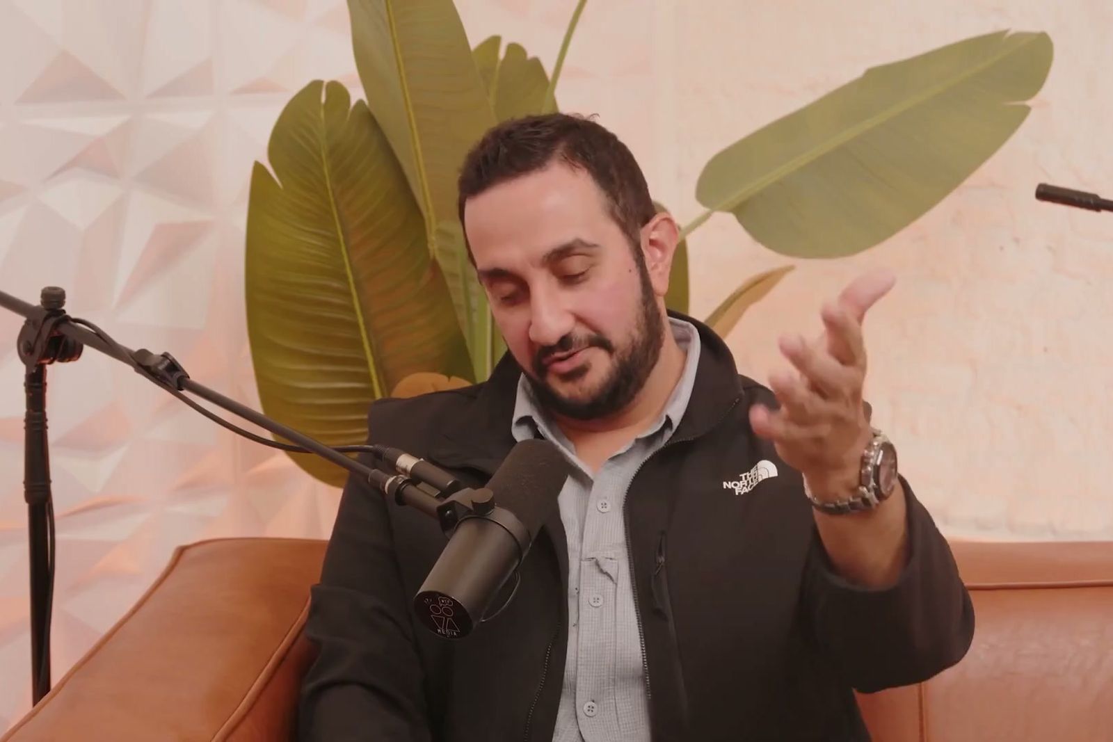 A bearded man in a black jacket gesturing as he talks at a microphone in front of a large leafy plant