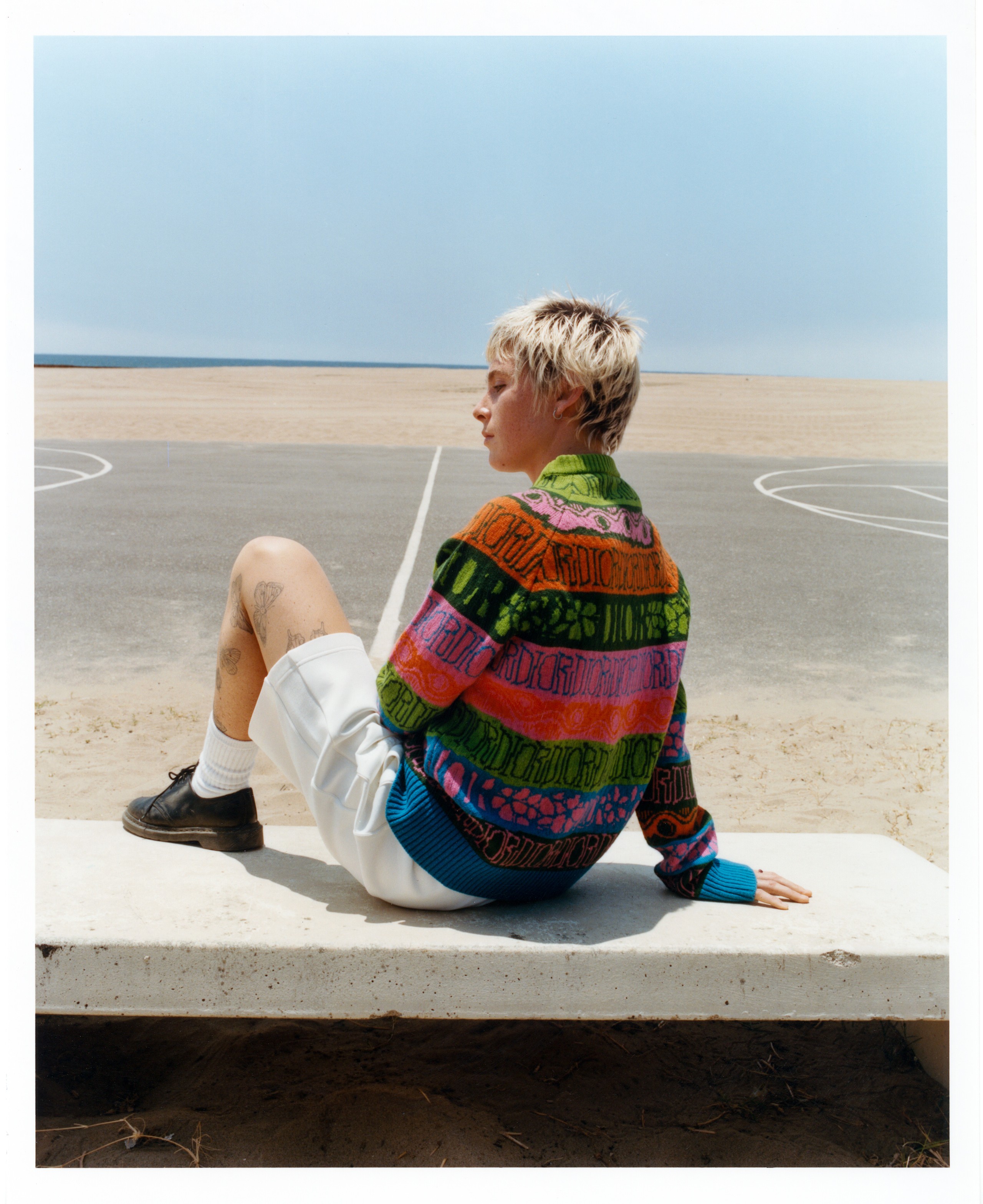Dior x Stussy — image 6