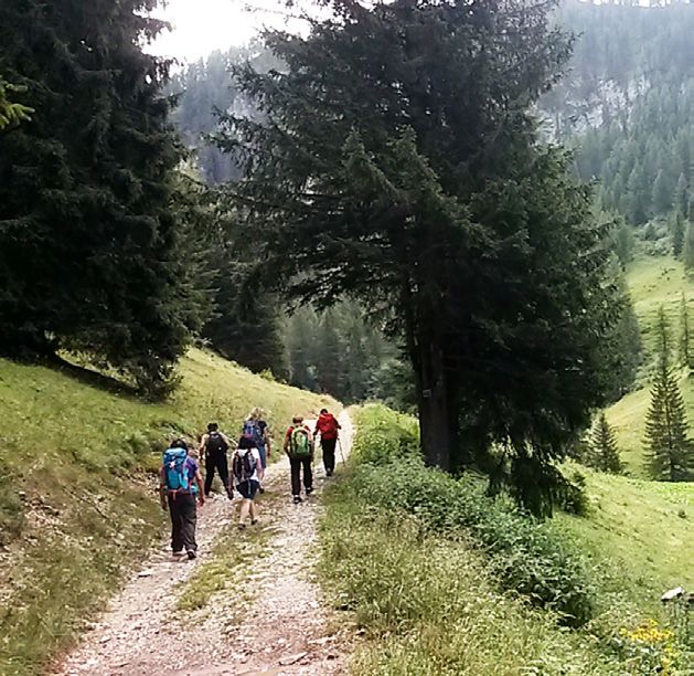 Image of Sentiero - Allegre Marmotte 