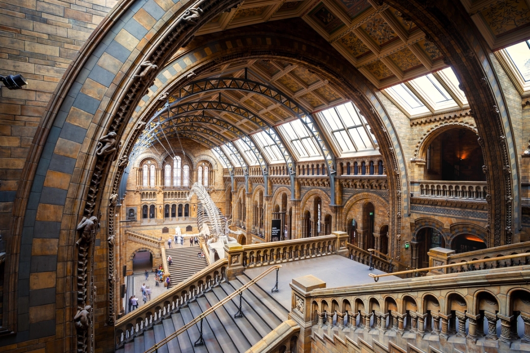 Natural History Museum