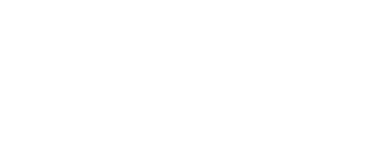 The Daily Wire