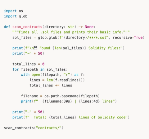 From Zero Python to Building AI Agents That Hunt Bugs For You