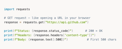 From Zero Python to Building AI Agents That Hunt Bugs For You