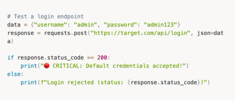 From Zero Python to Building AI Agents That Hunt Bugs For You