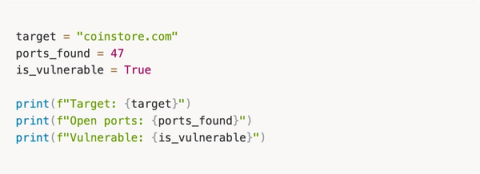 From Zero Python to Building AI Agents That Hunt Bugs For You