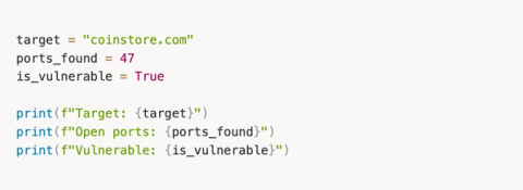 From Zero Python to Building AI Agents That Hunt Bugs For You