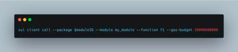 Sui Validator node DOS Bugfix Review