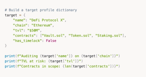 From Zero Python to Building AI Agents That Hunt Bugs For You