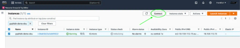 How to launch a phishing attack using Gophish