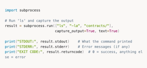 From Zero Python to Building AI Agents That Hunt Bugs For You