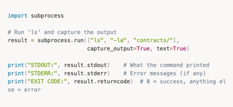 From Zero Python to Building AI Agents That Hunt Bugs For You